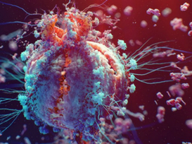 Imaging e cancro