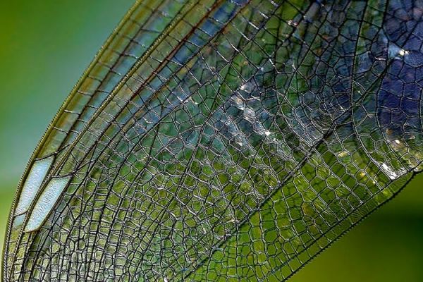 La RRI nelle nanoscienze e nanotecnologie