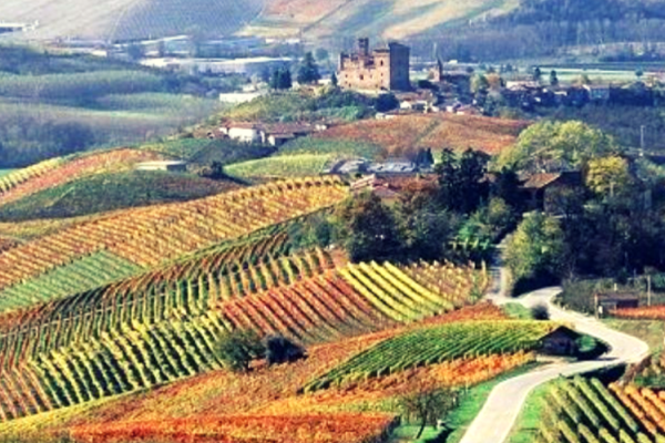 L'avventura della ricerca
