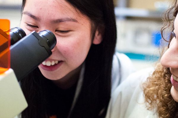 Scientific Summer Academy